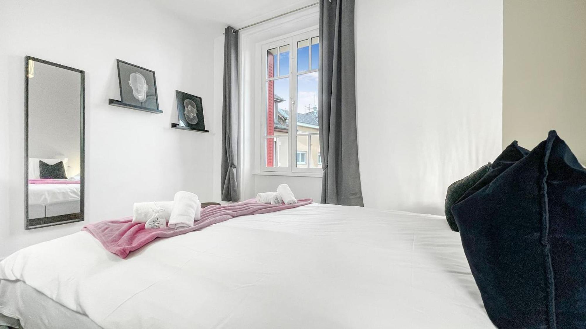 Homey Awesome - Proche Gare Et Tram - Centre-Ville - Balcon Prive - Wifi Gratuit Annemasse Ngoại thất bức ảnh